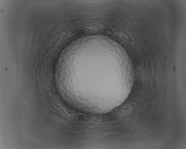 X0000077281009200611031520