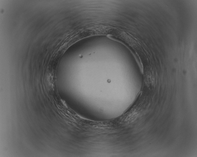 X0000077281010200611031520