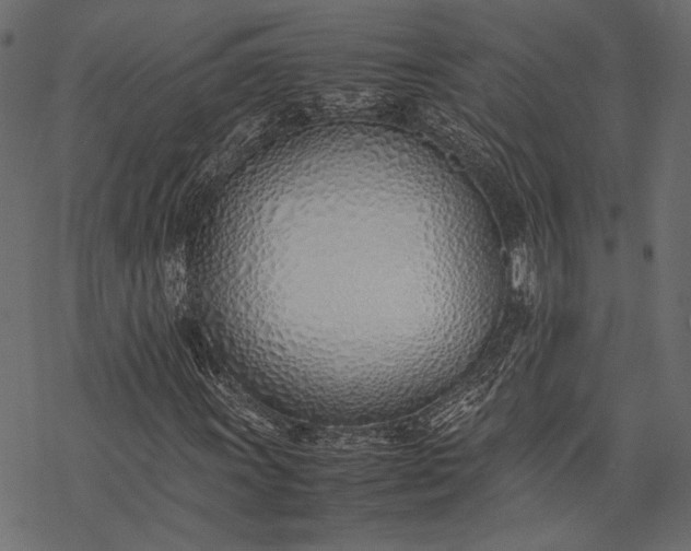 X0000077281011200611031520