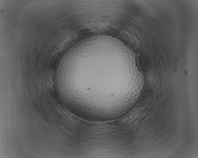 X0000077281012200611031520