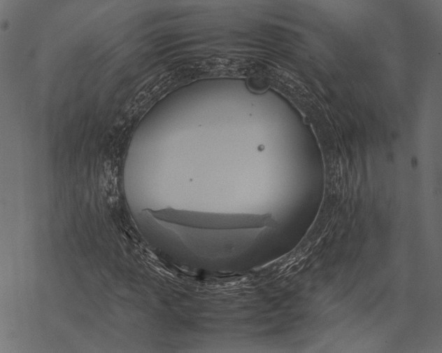 X0000077281013200611031520