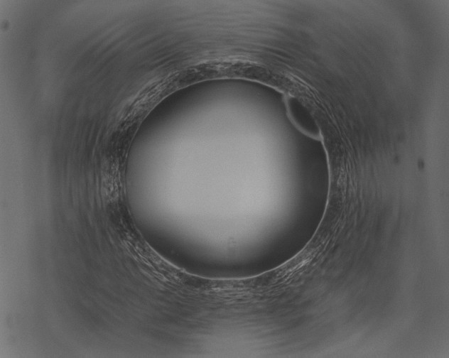 X0000077281014200611031520