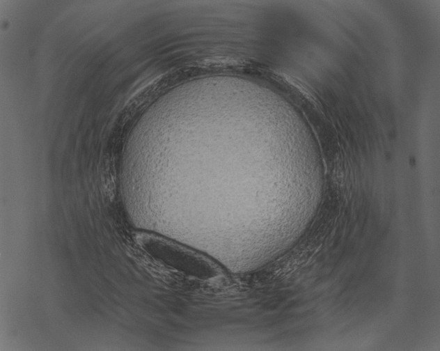 X0000077281015200611031520