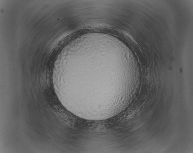 X0000077281016200611031520