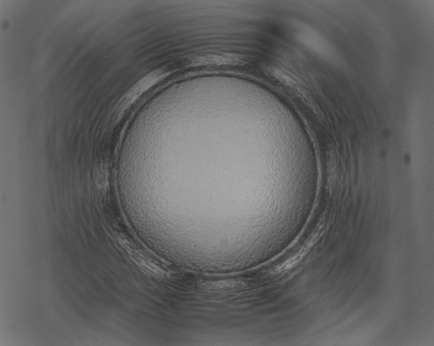 X0000077281017200611031520