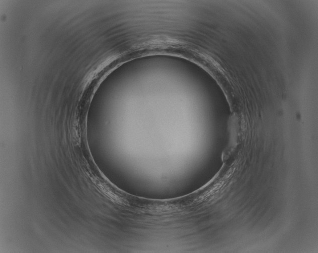 X0000077281018200611031520