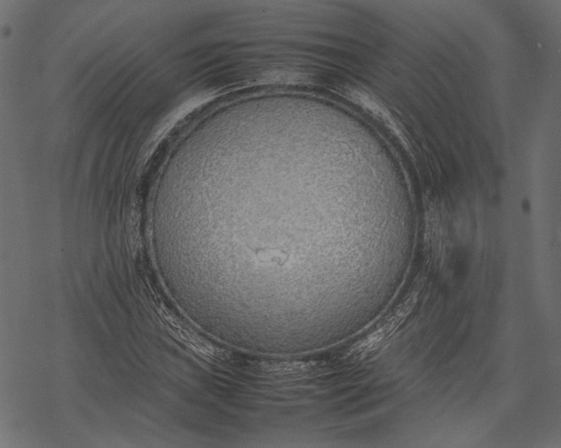 X0000077281019200611031520