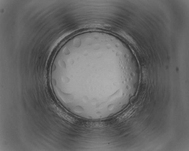 X0000077281020200611031520