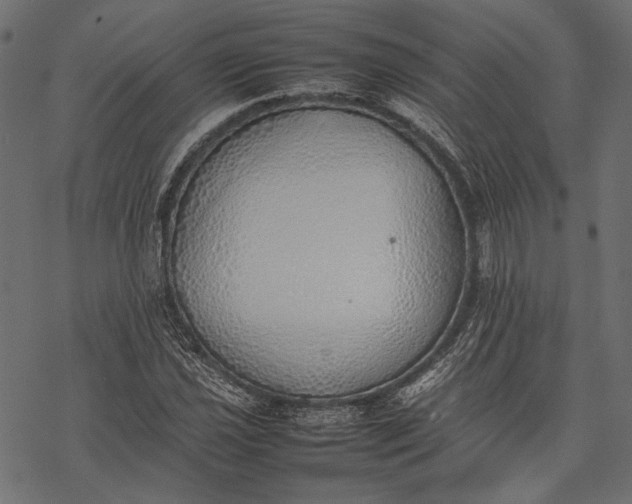 X0000077281021200611031520