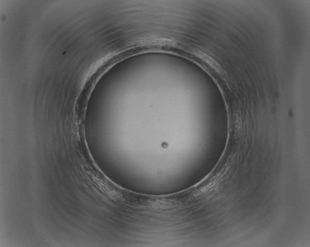 X0000077281022200611031520