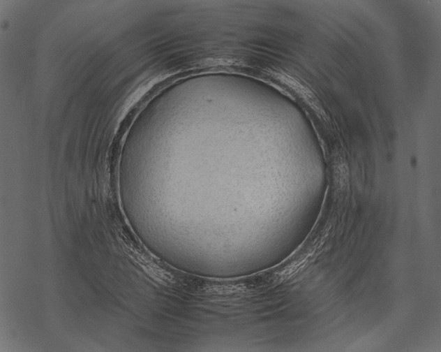 X0000077281023200611031520