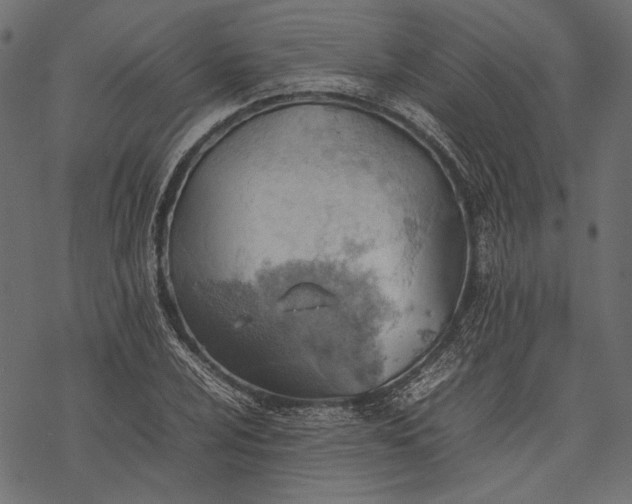 X0000077281024200611031520