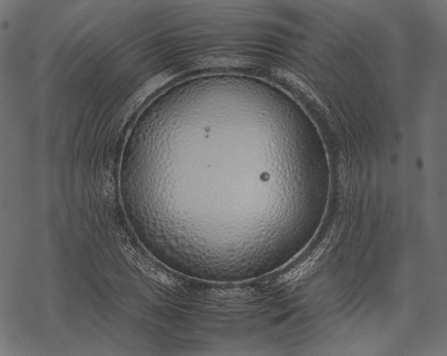 X0000077281025200611031520