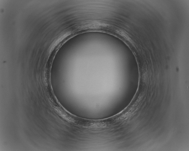 X0000077281026200611031520