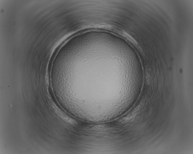 X0000077281028200611031520