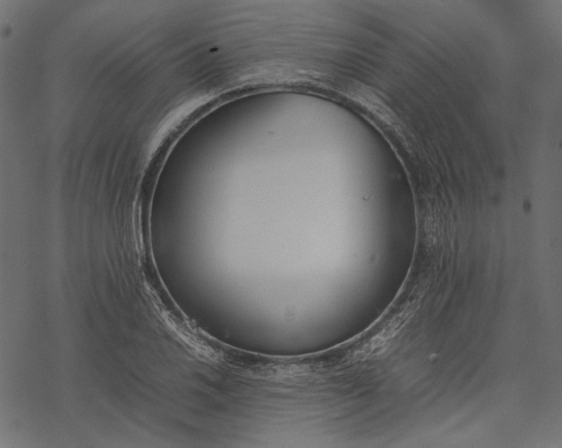 X0000077281030200611031520