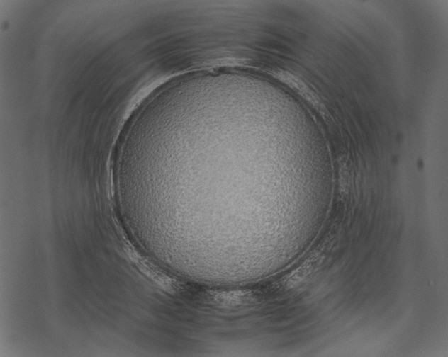 X0000077281031200611031520