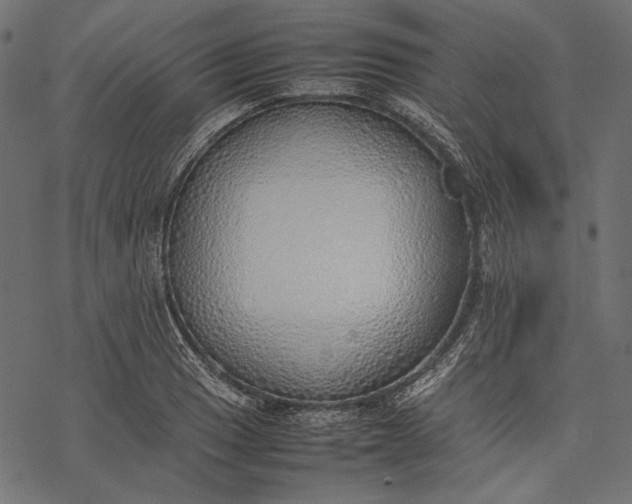 X0000077281033200611031520