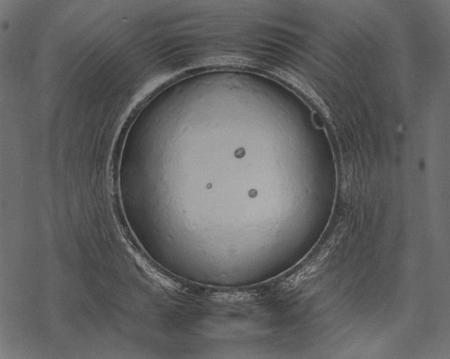 X0000077281037200611031520