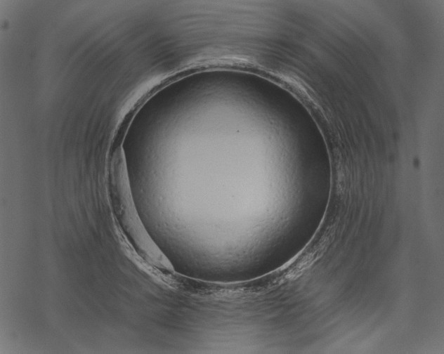 X0000077281038200611031520