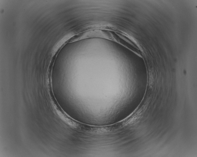 X0000077281042200611031520