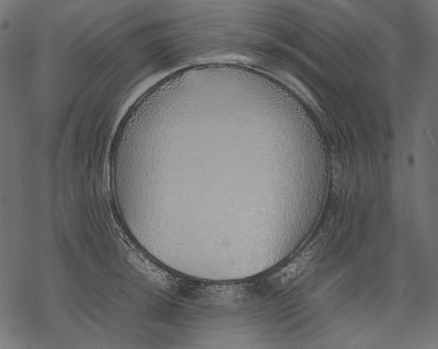 X0000077281044200611031520