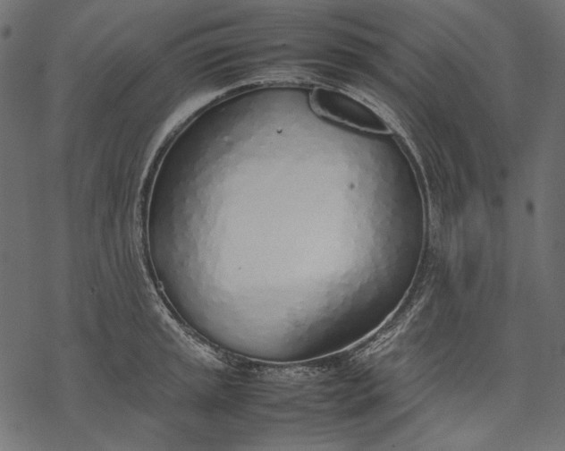 X0000077281045200611031520