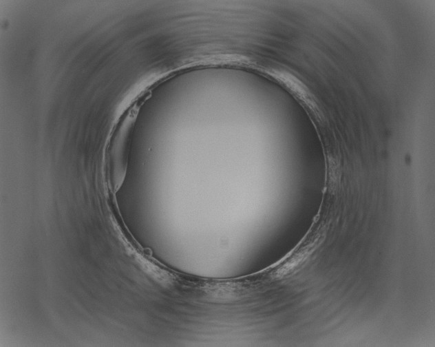 X0000077281046200611031520