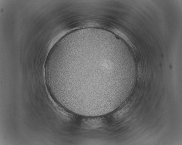 X0000077281047200611031520