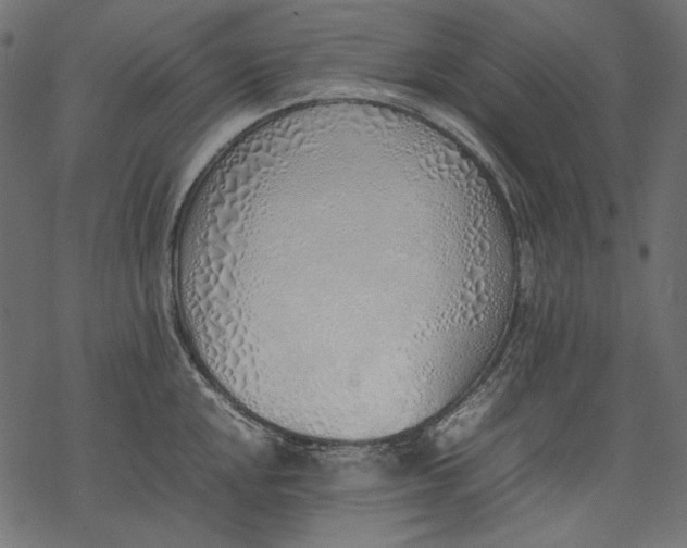 X0000077281048200611031520