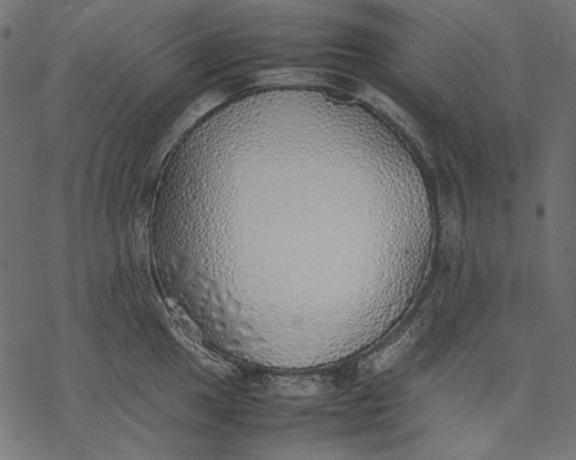 X0000077281049200611031520