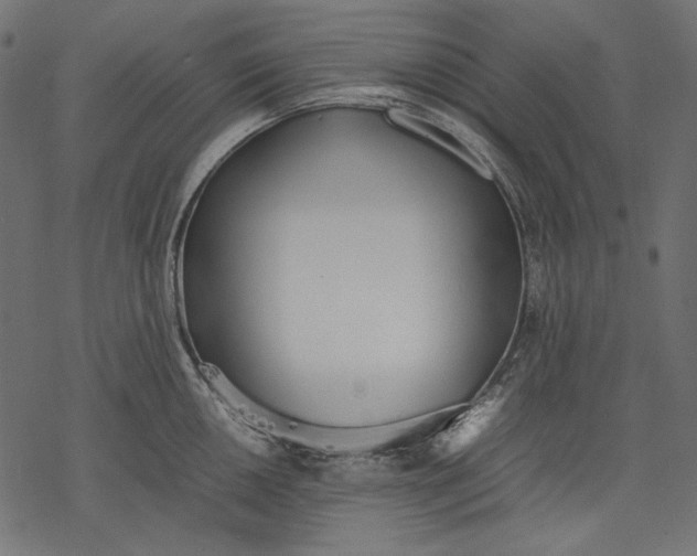 X0000077281050200611031520