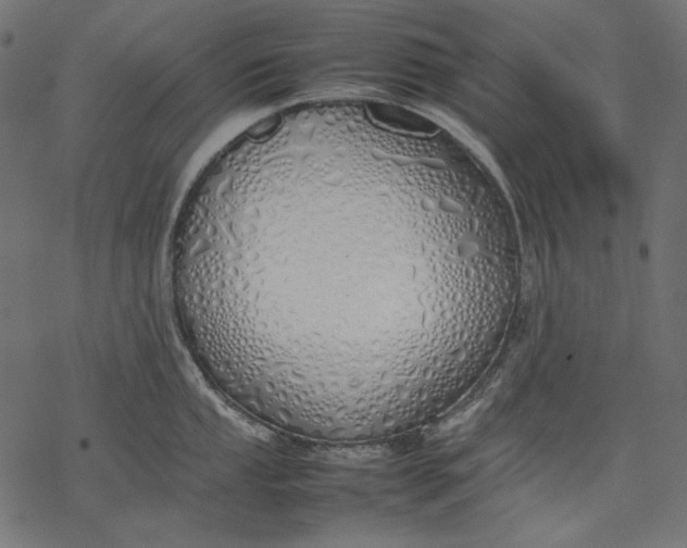 X0000077281053200611031520