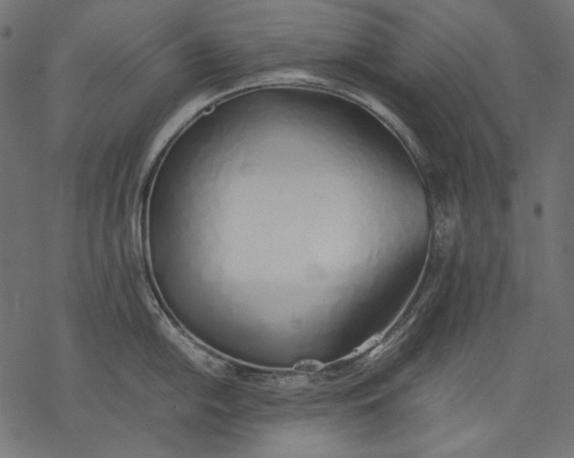 X0000077281054200611031520