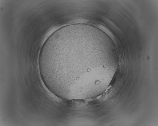 X0000077281055200611031520