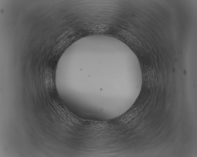 X0000077281058200611031520