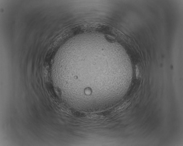 X0000077281059200611031520