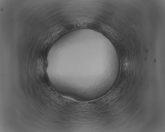 X0000077281060200611031520