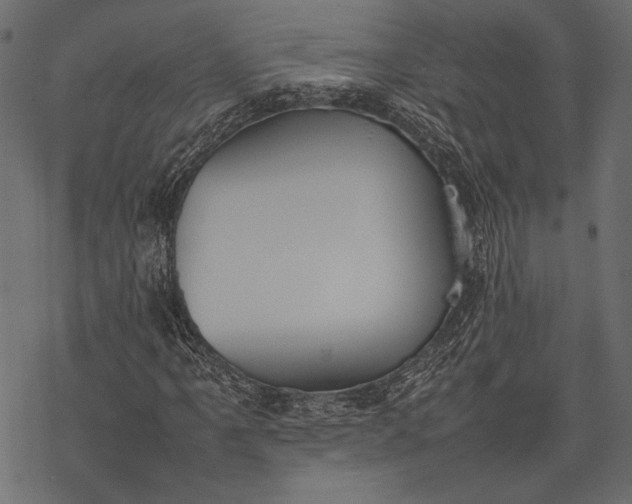 X0000077281061200611031520