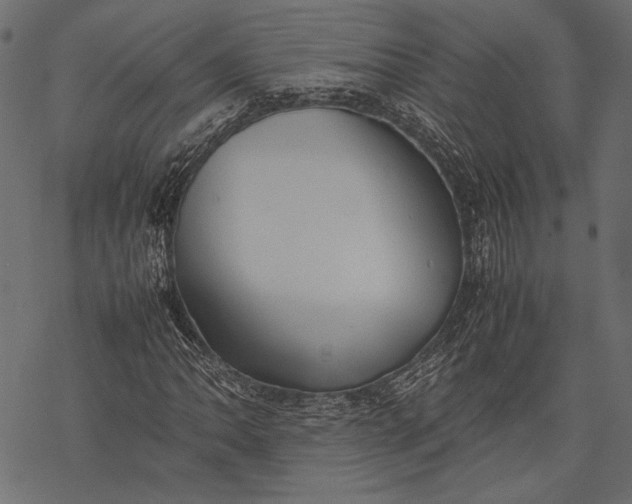 X0000077281062200611031520