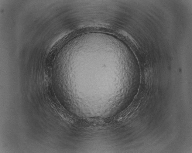 X0000077281064200611031520