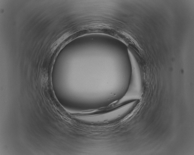 X0000077281065200611031519