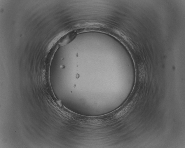 X0000077281066200611031519