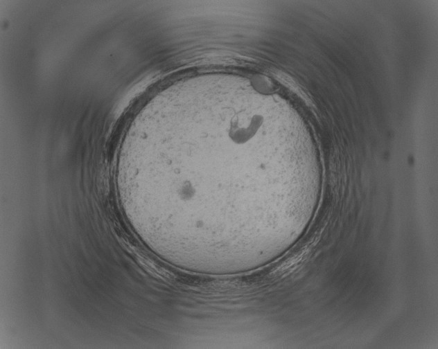 X0000077281067200611031519