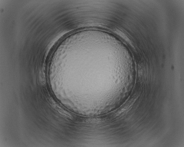 X0000077281068200611031519