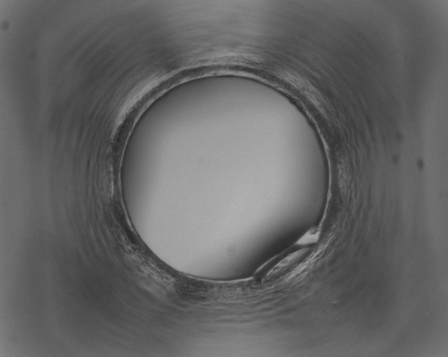 X0000077281069200611031519