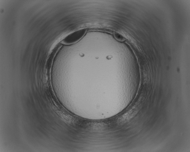 X0000077281070200611031519