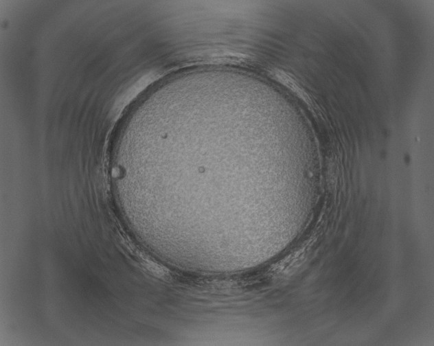 X0000077281071200611031519