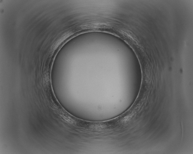 X0000077281073200611031519