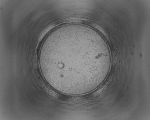 X0000077281075200611031519